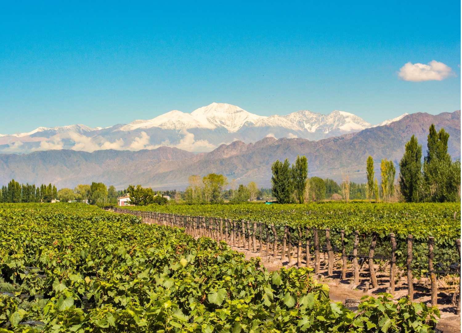 Mendoza